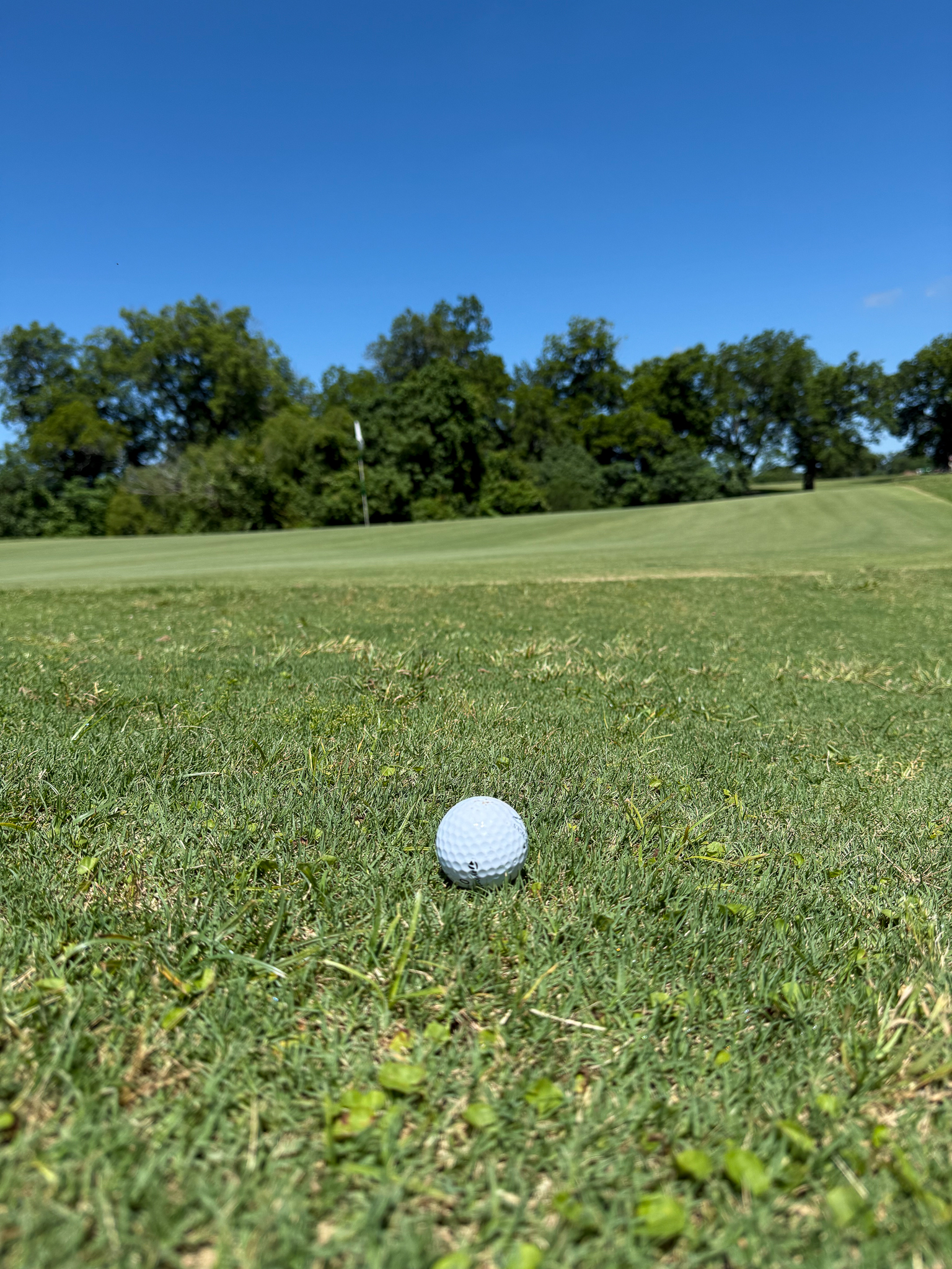 Country club ground photo 2